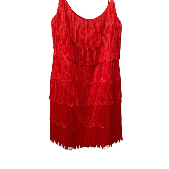 Morgan and Co Elegant Red Fringe Flapper Dress Size 13/14 Great Gatsby Party Fun - Picture 6 of 13